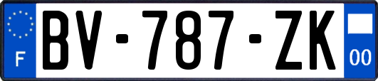 BV-787-ZK