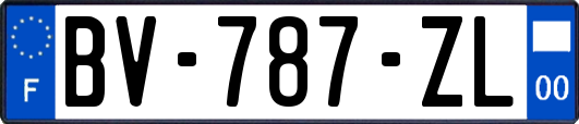 BV-787-ZL