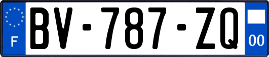 BV-787-ZQ