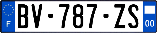 BV-787-ZS