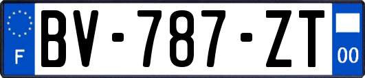 BV-787-ZT