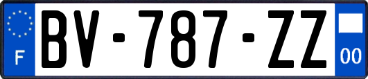 BV-787-ZZ