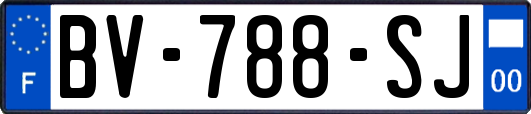 BV-788-SJ