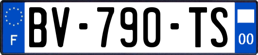 BV-790-TS