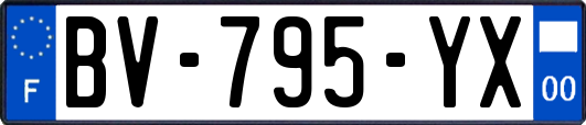 BV-795-YX