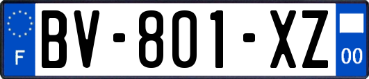 BV-801-XZ