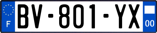 BV-801-YX