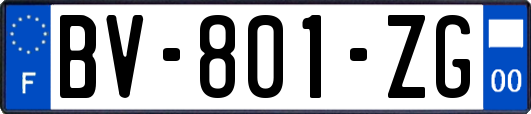 BV-801-ZG