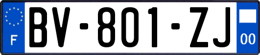 BV-801-ZJ