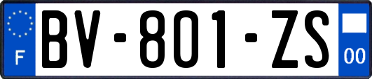 BV-801-ZS