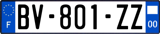 BV-801-ZZ