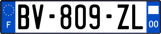 BV-809-ZL