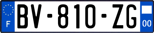 BV-810-ZG