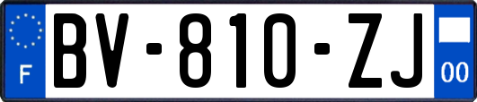 BV-810-ZJ