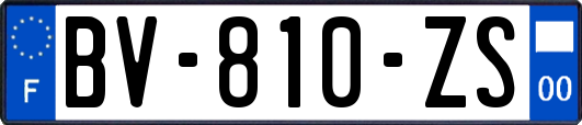 BV-810-ZS