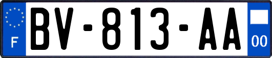 BV-813-AA