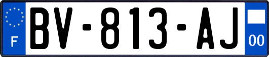 BV-813-AJ