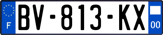 BV-813-KX