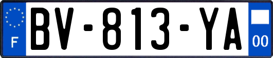 BV-813-YA