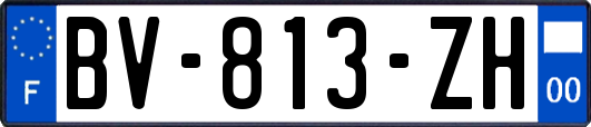 BV-813-ZH