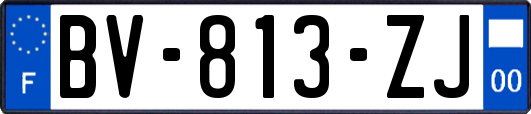 BV-813-ZJ