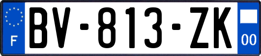 BV-813-ZK