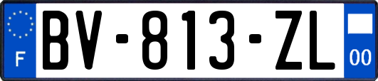 BV-813-ZL