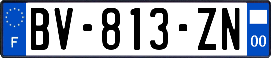 BV-813-ZN