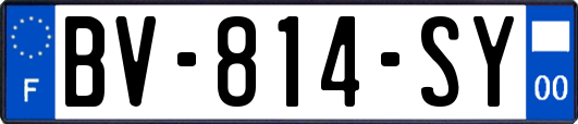 BV-814-SY