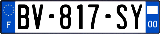 BV-817-SY