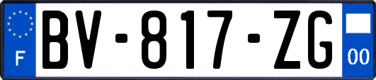 BV-817-ZG