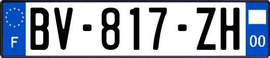 BV-817-ZH