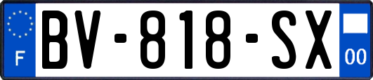 BV-818-SX