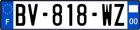 BV-818-WZ