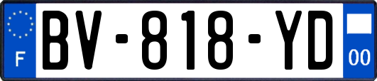 BV-818-YD