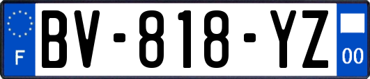 BV-818-YZ