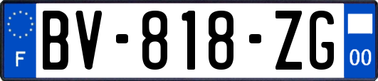 BV-818-ZG