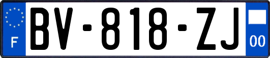 BV-818-ZJ