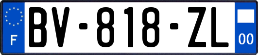 BV-818-ZL