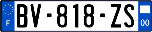 BV-818-ZS