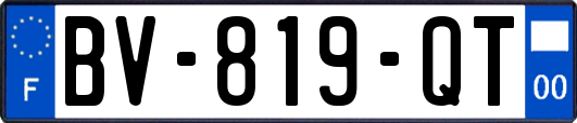 BV-819-QT