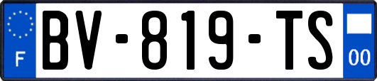 BV-819-TS