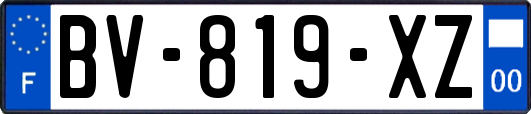 BV-819-XZ