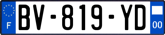 BV-819-YD