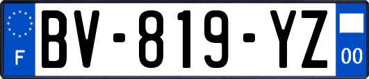 BV-819-YZ