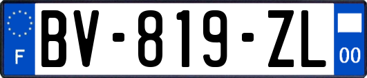 BV-819-ZL