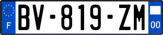 BV-819-ZM