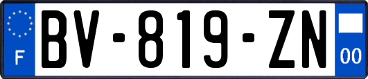 BV-819-ZN