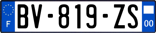 BV-819-ZS