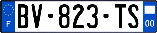 BV-823-TS